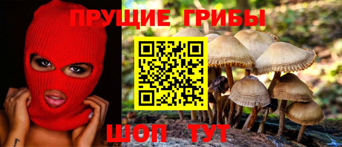 Галлюциногенные грибы прущие грибы Камышлов