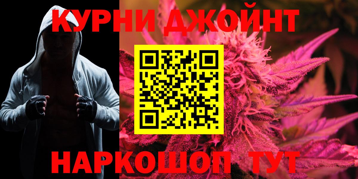 Бошки Шишки планчик Камышлов